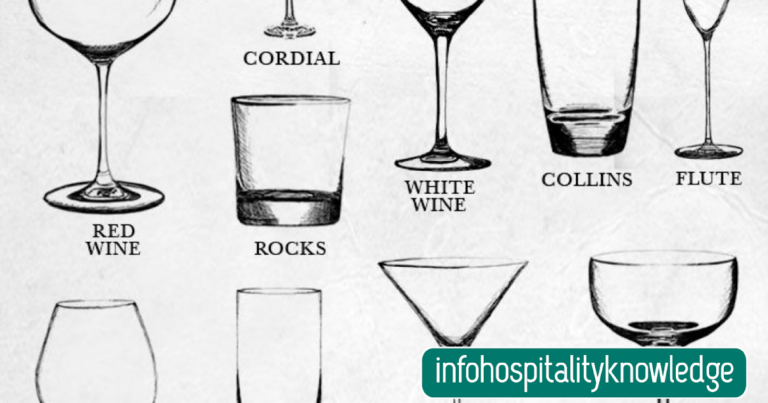 Jenis Jenis Glassware