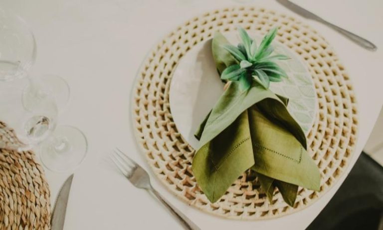 Napkin Adalah