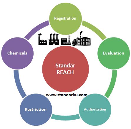 Standar REACH