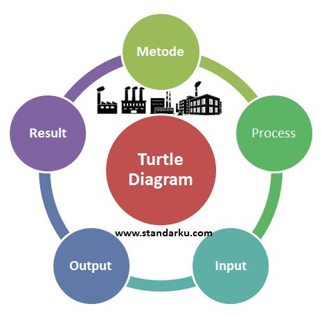 Turtle Diagram